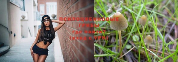 прущие крисы Алексин