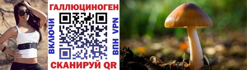 где можно купить наркотик  Чебаркуль  omg как зайти  Галлюциногенные грибы Psilocybine cubensis 